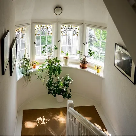 Angelika 게스트하우스 *